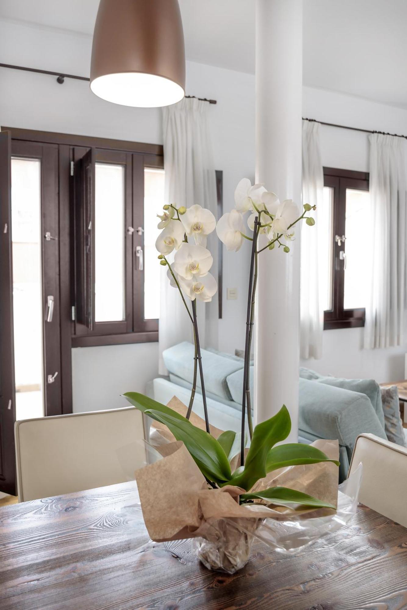 Apartamento Campo Del Granada